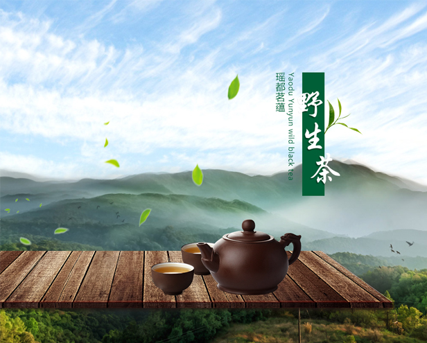 广西瑶蕴农业发展有限公司