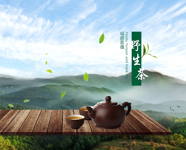 广西瑶蕴农业发展有限公司